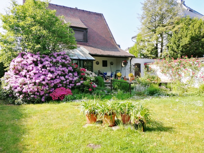 PrI 9270 Hausansicht hinten Einfamilienhaus Oberursel